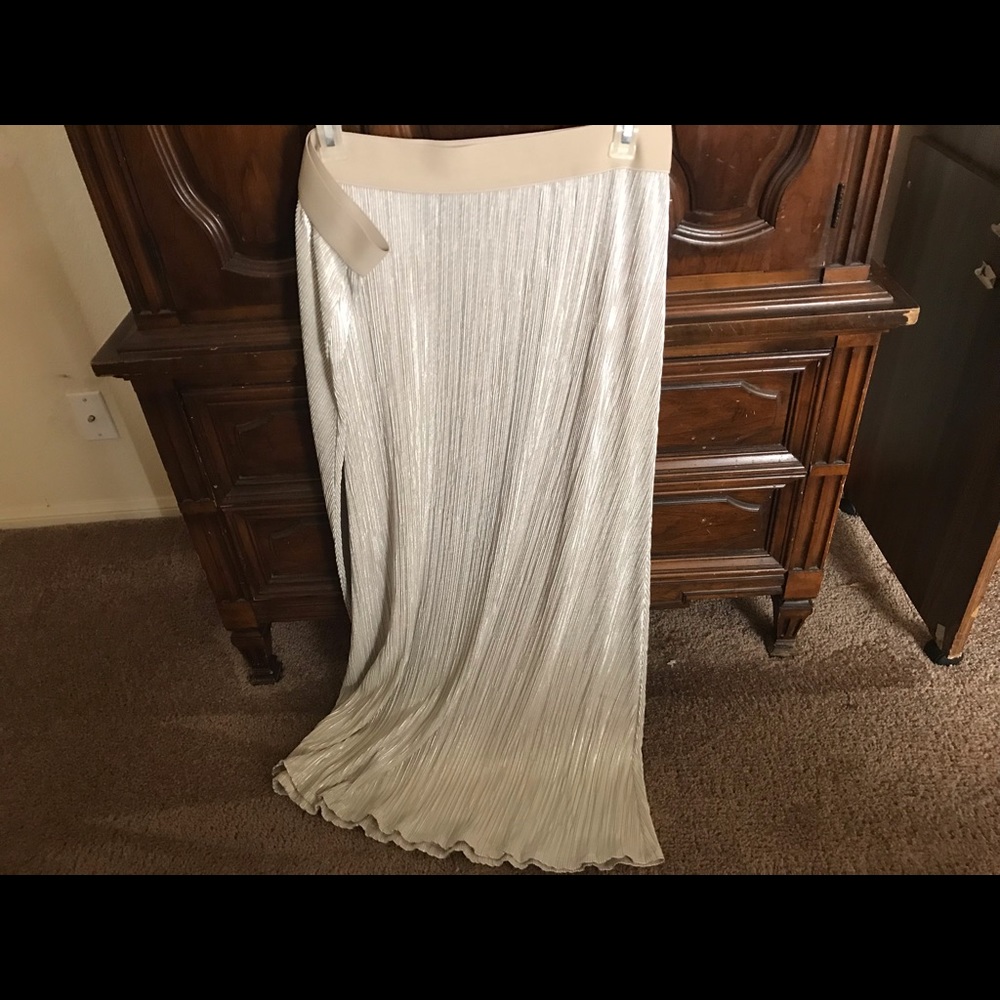 Lane Bryant skirt